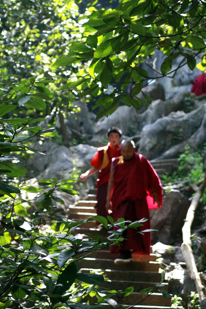 位于灵隐寺对面的飞来峰，抓拍到来自西藏的修行者，来观摩飞来峰上的千年石雕佛像！